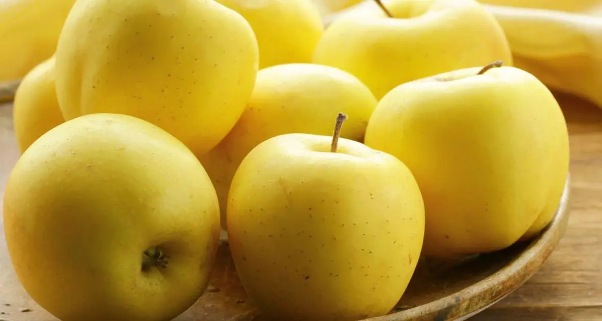 فوائد التفاح الاصفر للحامل